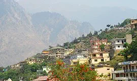 auli travel agetns, agency, tour operators